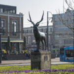 Arnhem Centrum | Willemsen makelaars Arnhem