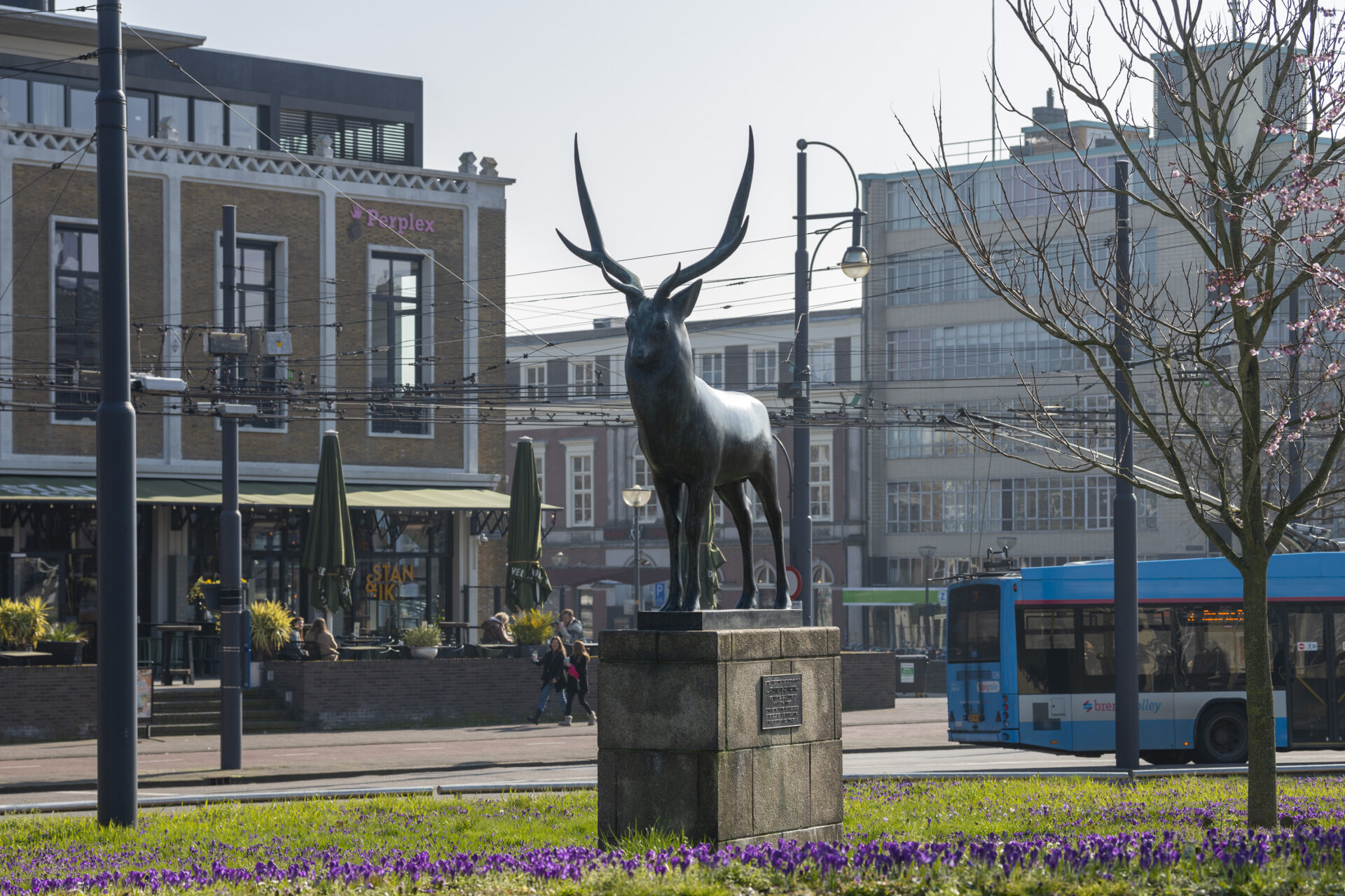 Arnhem Centrum | Willemsen makelaars Arnhem