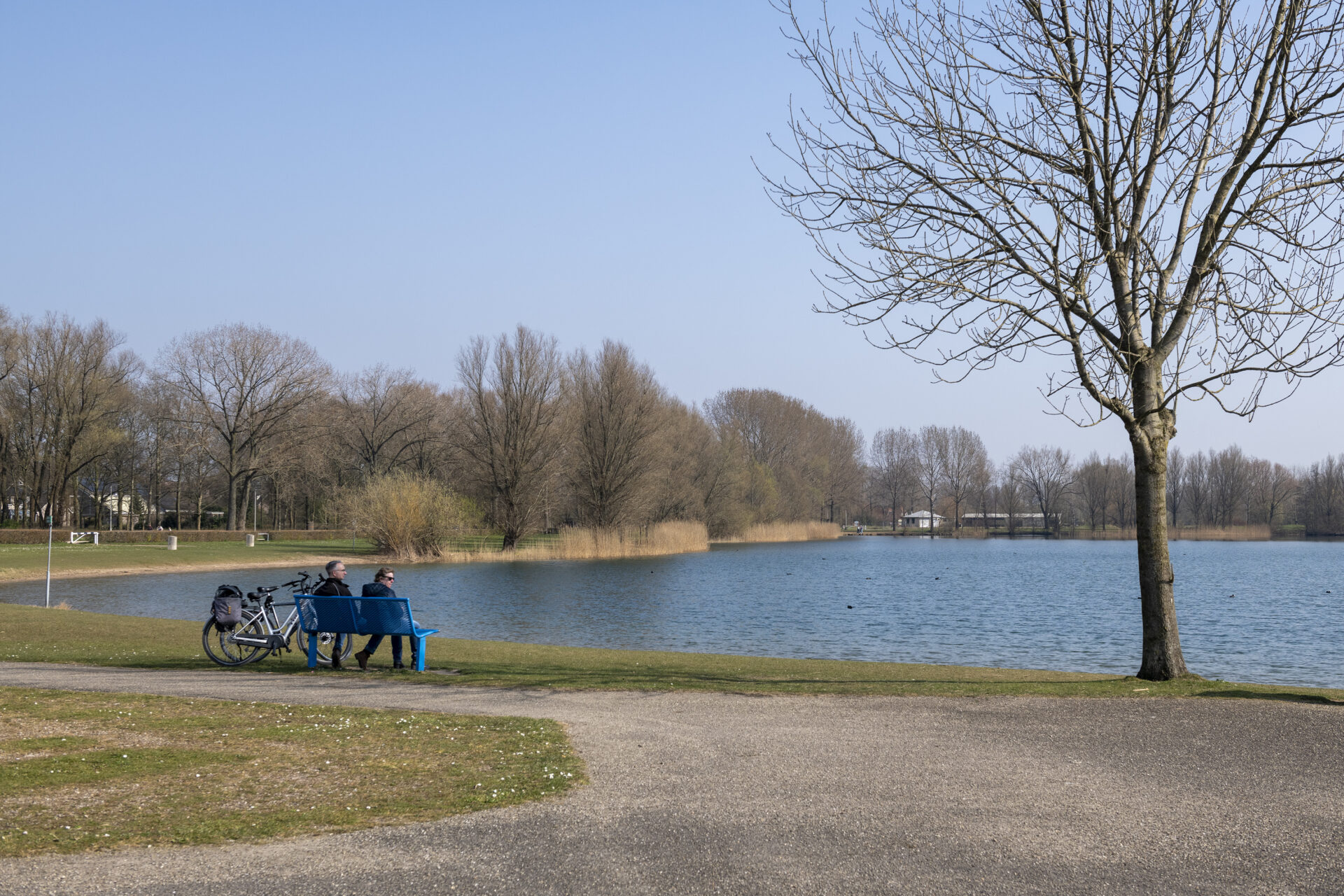 De Laar | Willemsen makelaar Arnhem