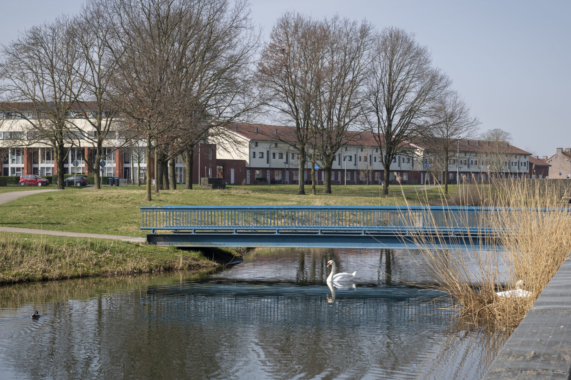 Arnhem Zuid | Willemsen makelaars Arnhem