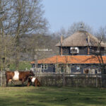 Presikhaaf | Willemsen makelaar Arnhem