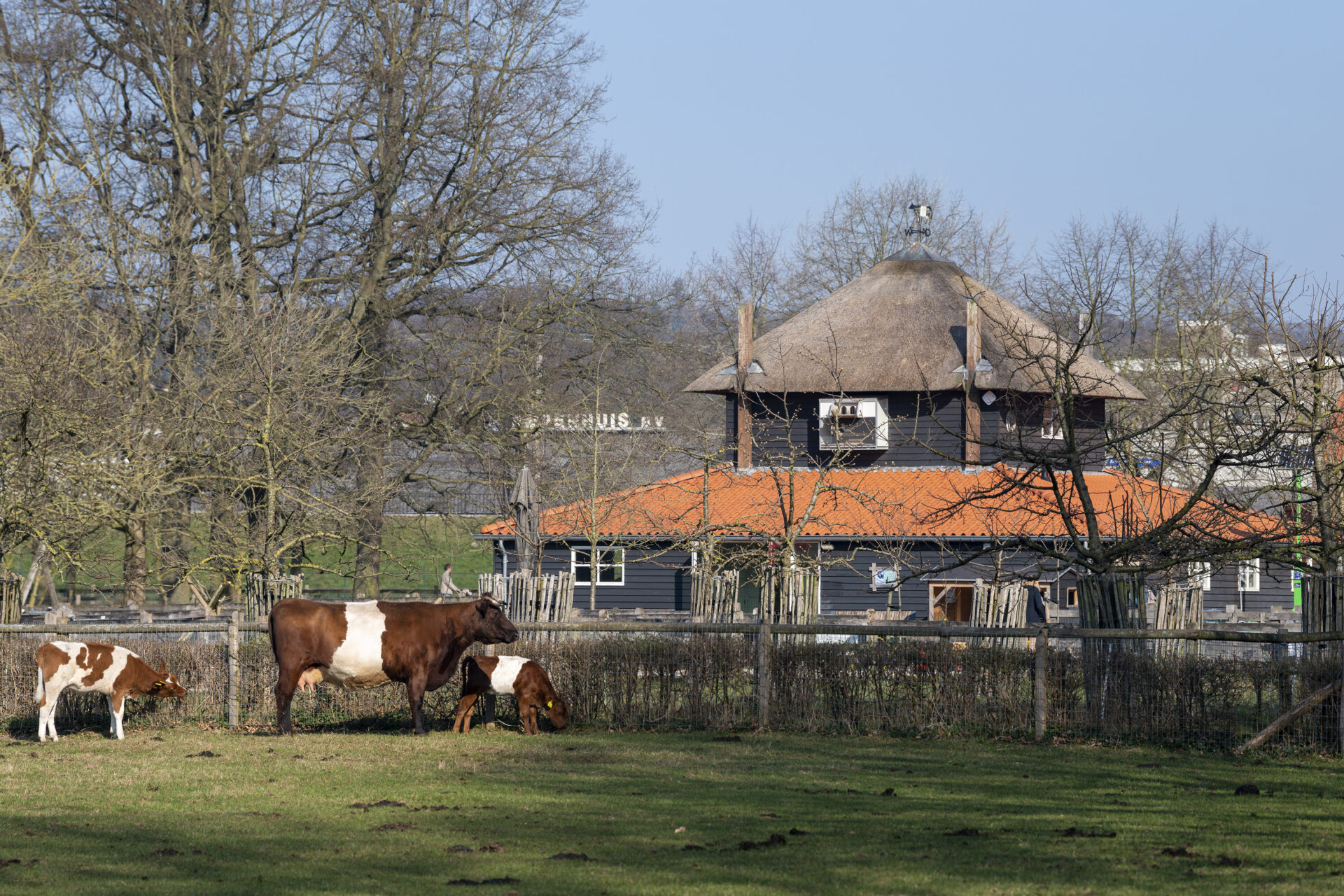 Presikhaaf | Willemsen makelaar Arnhem