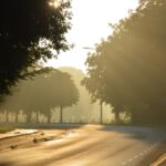 De Steeg | Willemsen makelaar Arnhem & Rheden