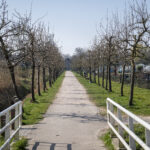 Elden | Willemsen makelaar Arnhem