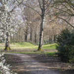 Elderveld | Willemsen makelaar Arnhem