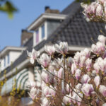 Klingelbeek | Willemsen makelaar Arnhem