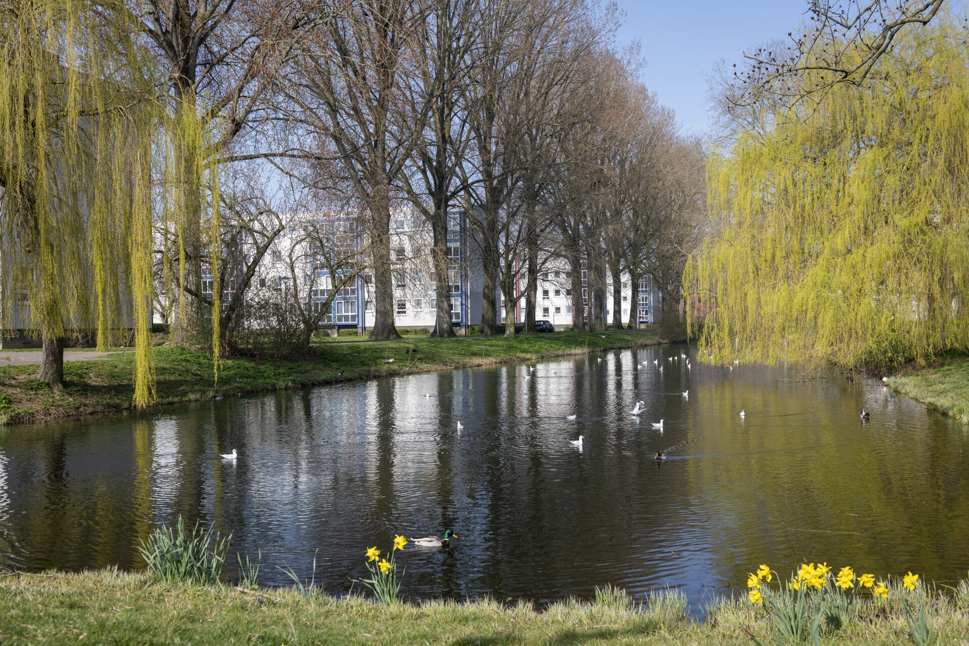 Malburgen | Willemsen makelaar Arnhem