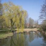 Arnhem Zuid | Willemsen makelaars Arnhem