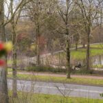 Zevenaar
