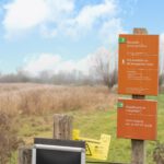 Uiterwaarden van Wageningen