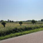 De Wageningse uiterwaarden