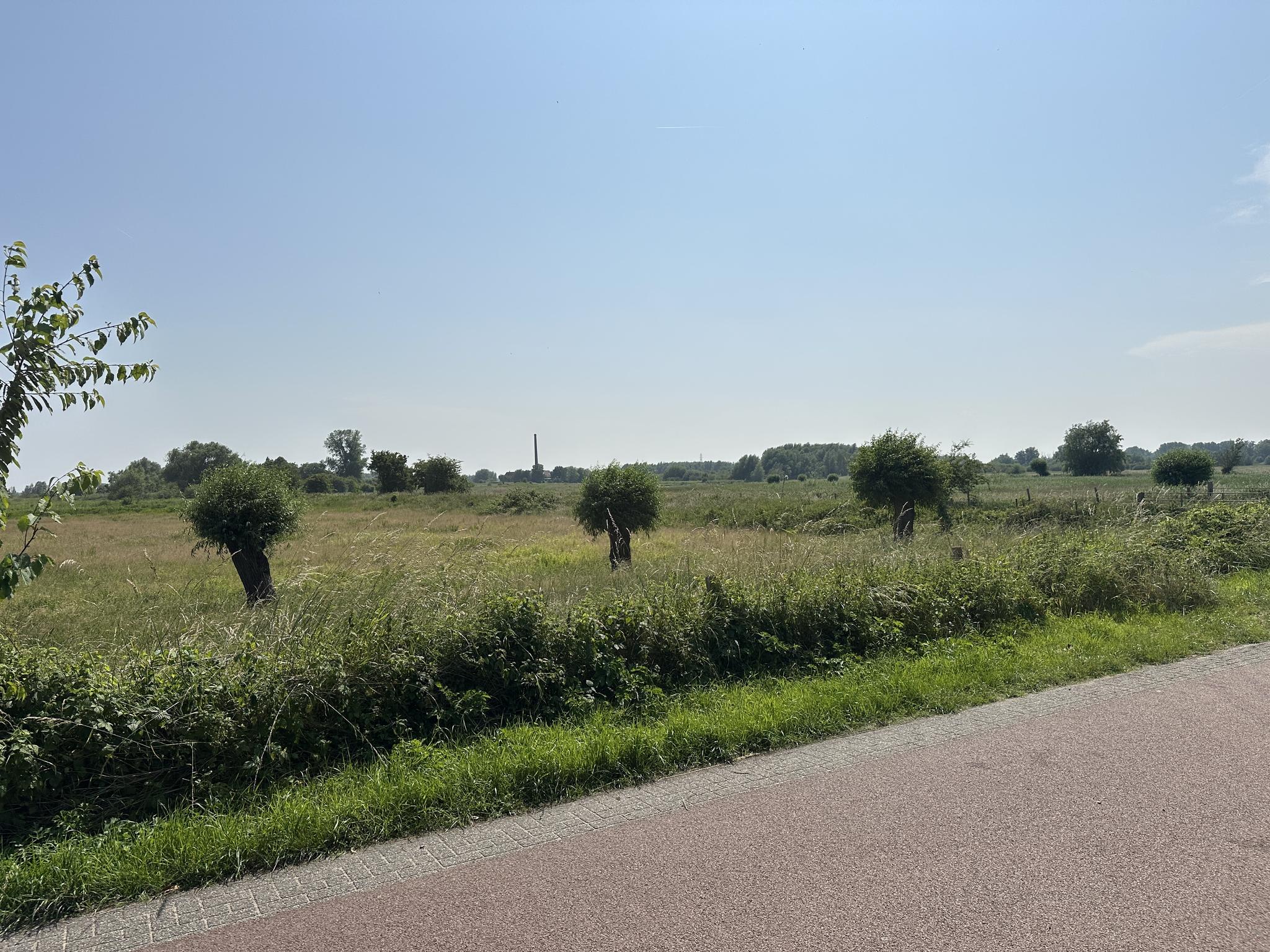 De Wageningse uiterwaarden