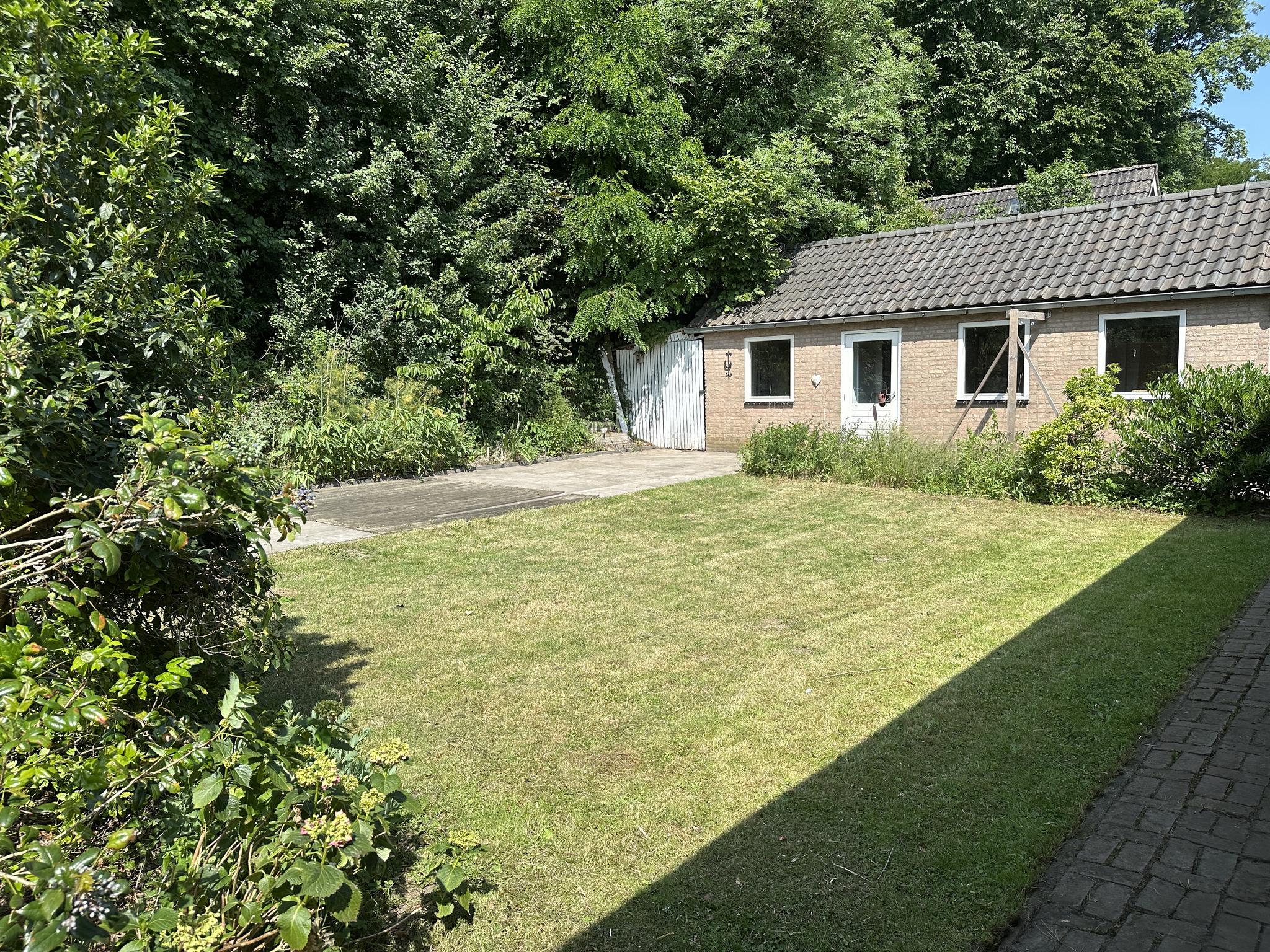 Achtertuin en garage